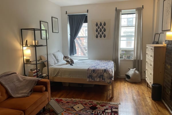 House sit in New York City, NY, US