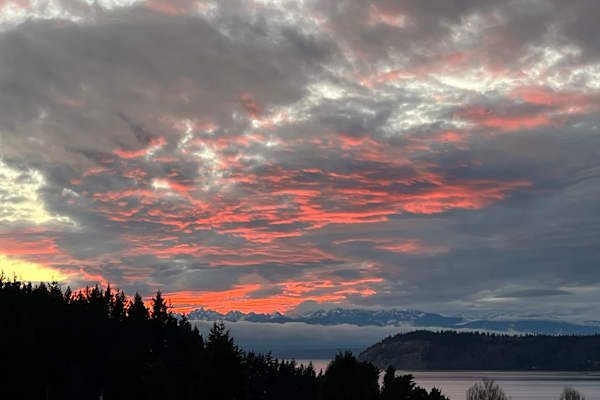 House sit in Clinton, WA, US