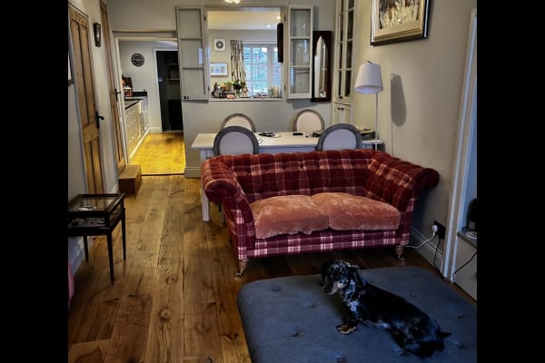 House sit in Bury St Edmunds, United Kingdom