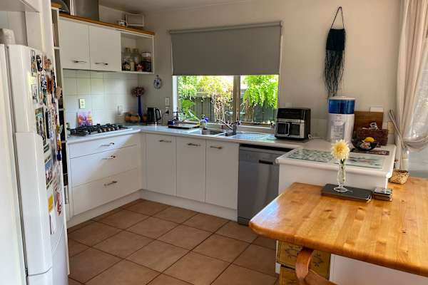 House sit in Hastings, New Zealand