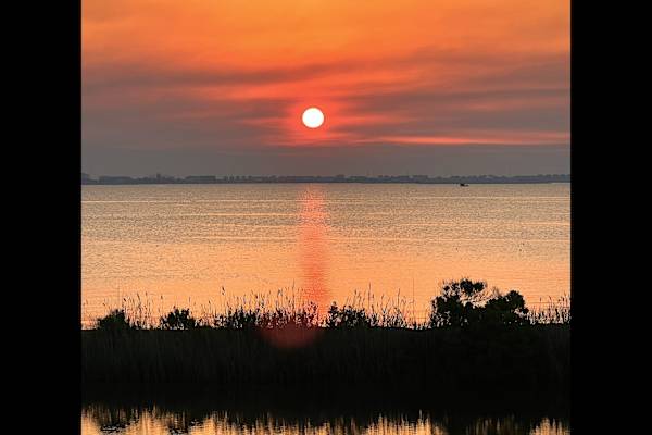 House sit in Manteo, NC, US