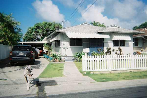 House sit in Kailua, HI, US