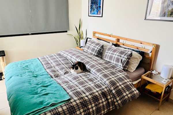 House sit in Pýla, Cyprus