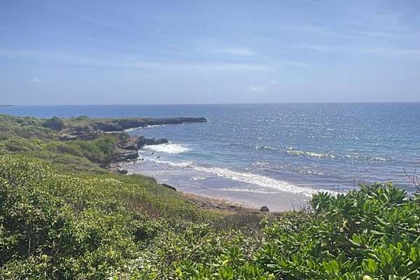 House sit in Saint George's, Grenada
