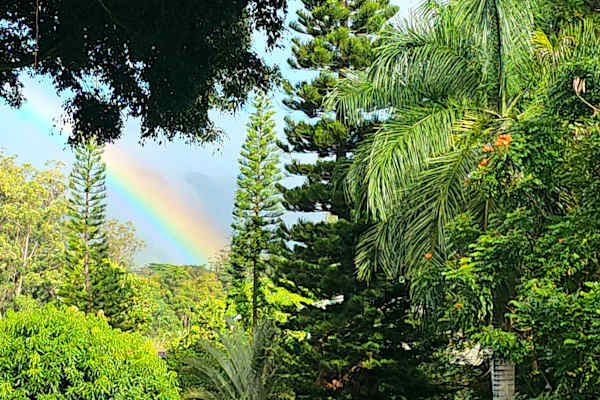 House sit in Kapa‘a, HI, US