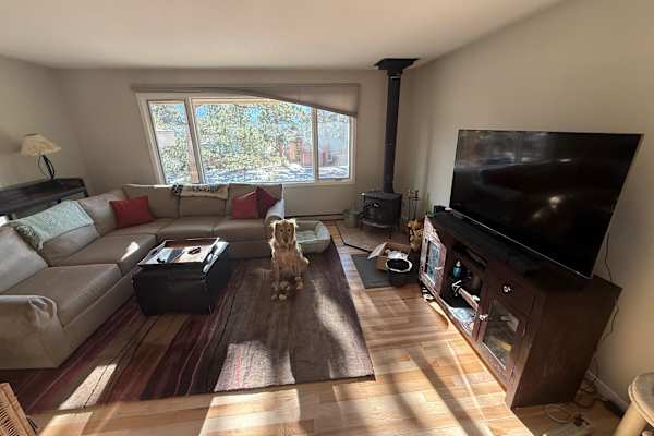 House sit in Estes Park, CO, US