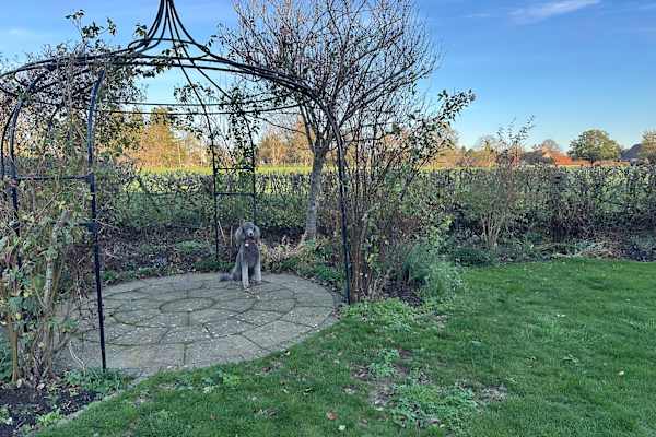 House sit in Hilton, United Kingdom