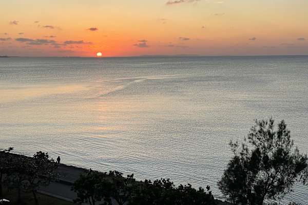 House sit in Chatan, Japan