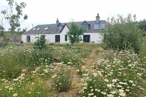 House sit in Hawick, United Kingdom