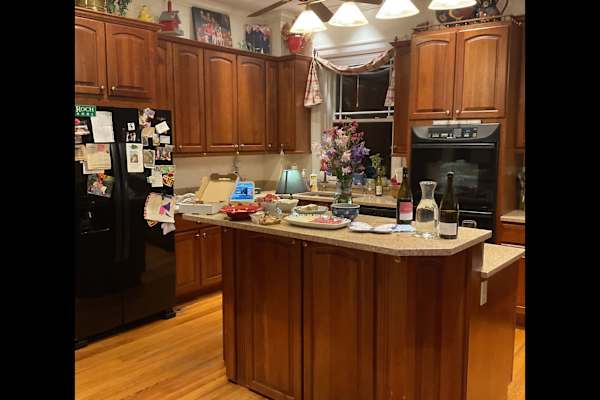 House sit in St. Louis, MO, US