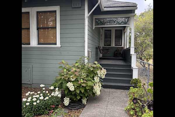 House sit in Oakland, CA, US