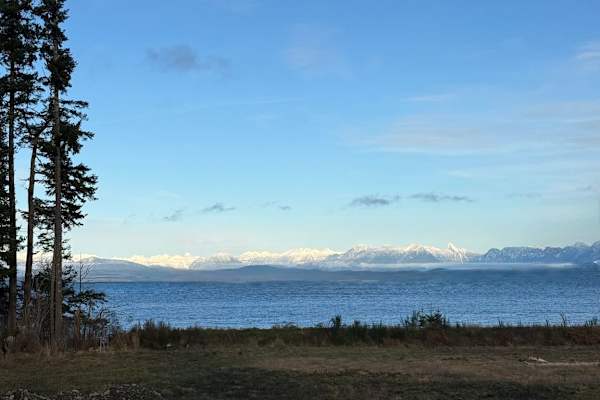 House sit in Campbell River, BC, Canada