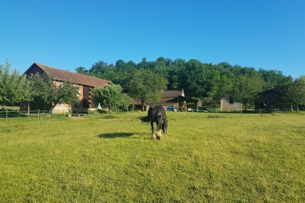 House sit in Monpazier, France