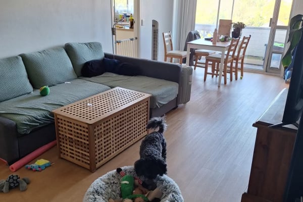 House sit in Sydney, NSW, Australia