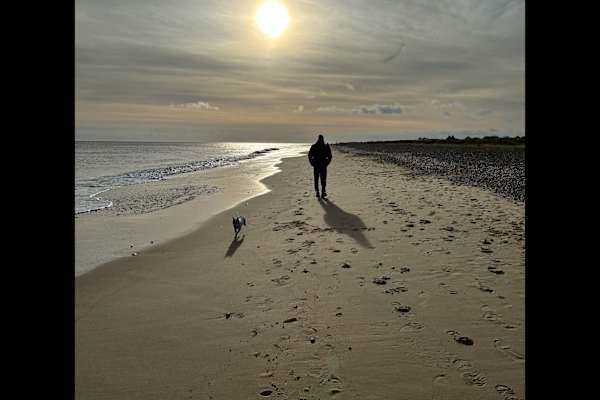 House sit in Lowestoft, United Kingdom