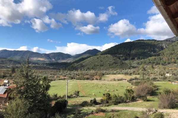 House sit in Yeşilüzümlü, Turkey