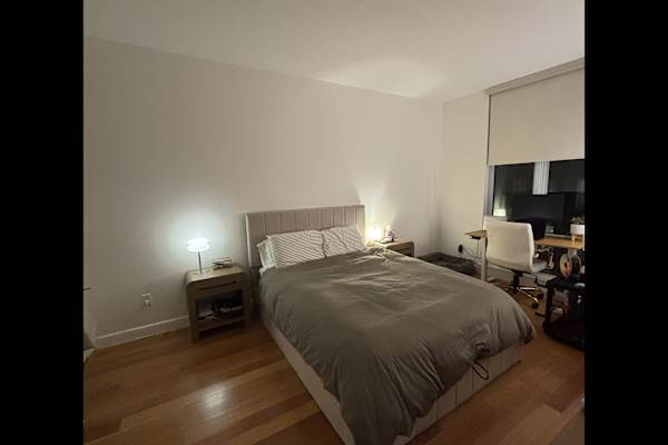 House sit in Manhattan, NY, US