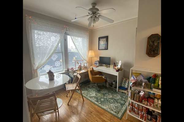 House sit in Chicago, IL, US