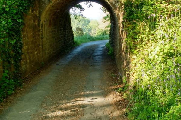 House sit in Oradour-sur-Vayres, France