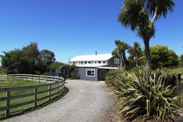 House sit in Tauranga, New Zealand