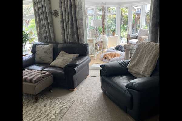 House sit in Ipswich, United Kingdom