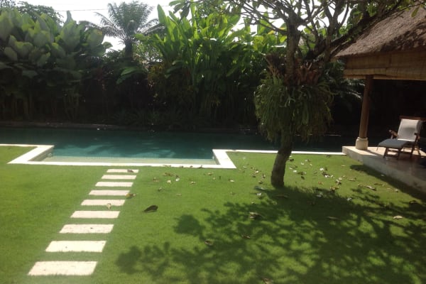 House sit in Canggu, Indonesia