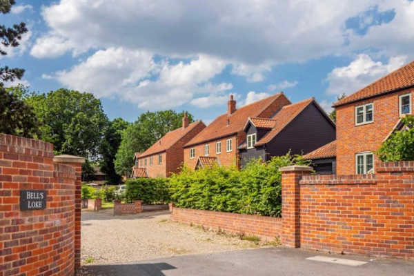 House sit in Norwich, United Kingdom