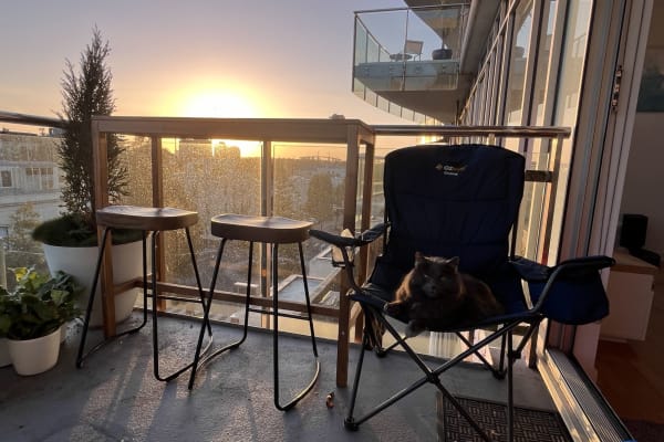 House sit in Melbourne, VIC, Australia