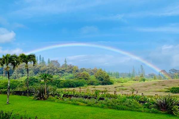 House sit in Makawao, HI, US