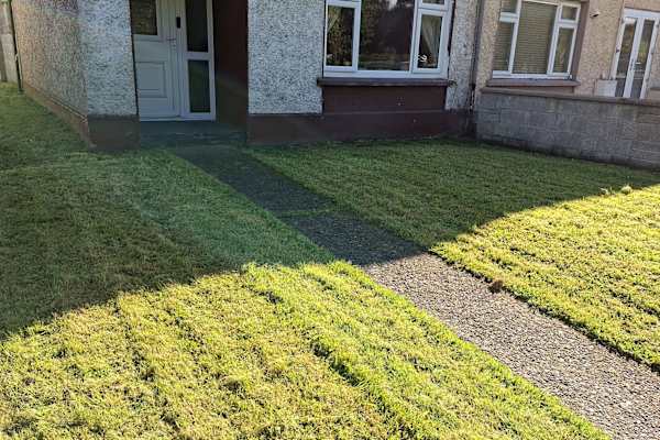 House sit in Shannon, Ireland