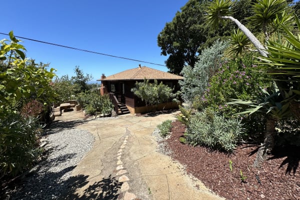 House sit in Berkeley, CA, US