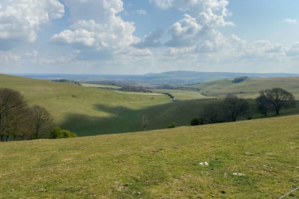 House sit in Steyning, United Kingdom