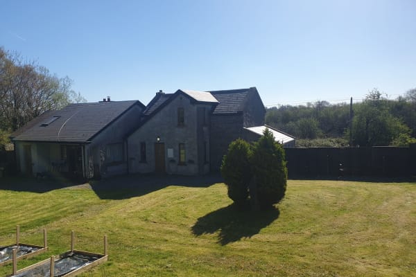 House sit in Ballinrobe, Ireland