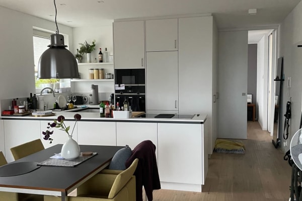 House sit in Köln, Germany