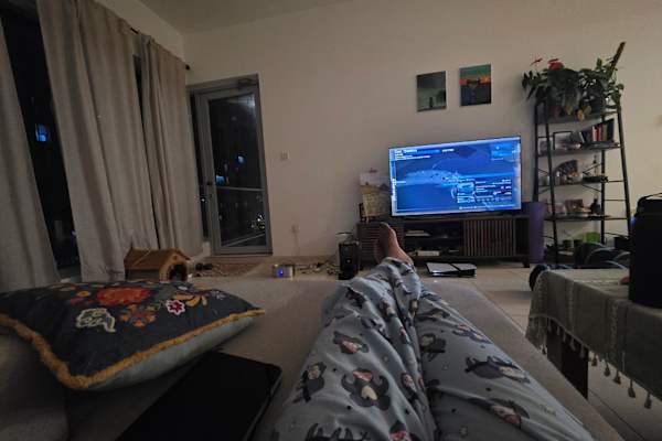 House sit in Dubai, United Arab Emirates