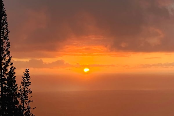 House sit in Captain Cook, HI, US