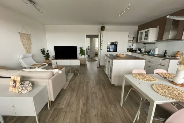 House sit in Prague, Czech Republic