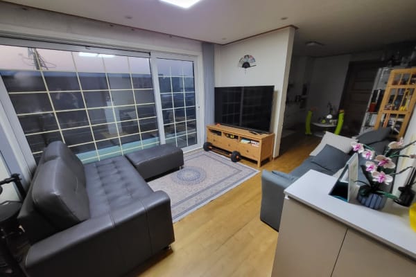 House sit in Seoul, South Korea