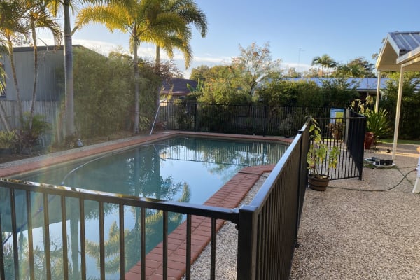 House sit in Noosa Heads, QLD, Australia