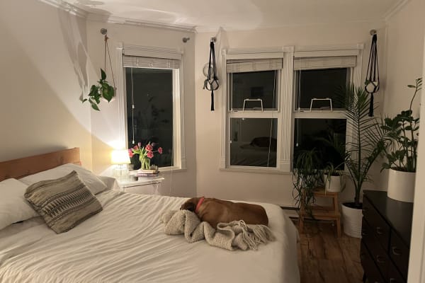 House sit in Coquitlam, BC, Canada