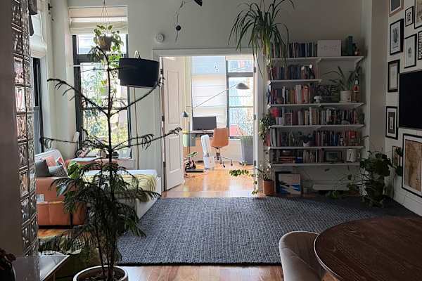 House sit in Washington, D.C., Washington, D.C., US