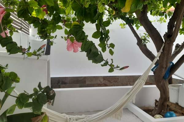 House sit in Palma, Spain