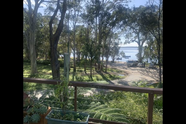 House sit in Noosa Heads, QLD, Australia