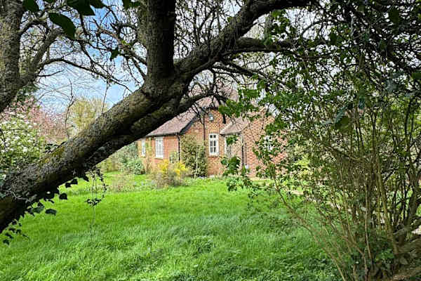 House sit in Baldock, United Kingdom