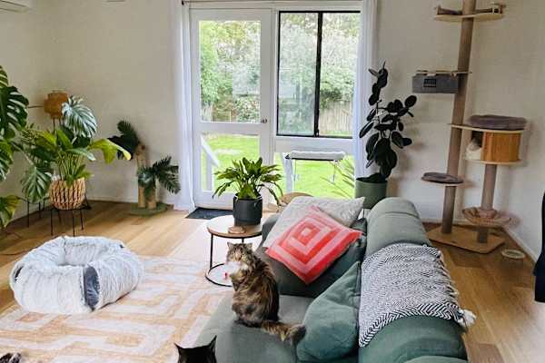 House sit in Barwon Heads, VIC, Australia