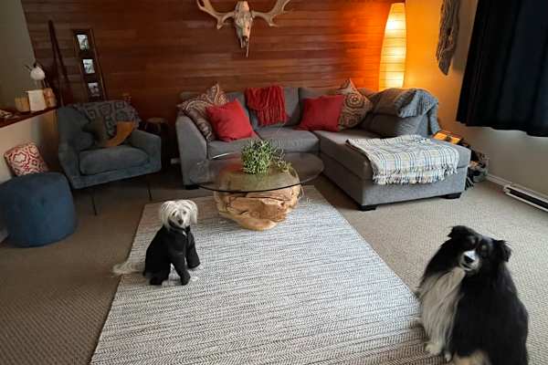 House sit in Port Alberni, BC, Canada