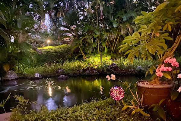 House sit in Honolulu, HI, US