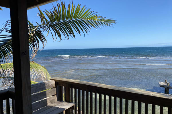 House sit in Coxen Hole, Honduras