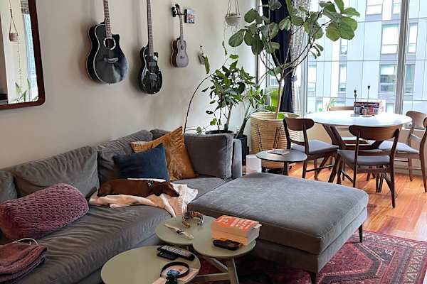 House sit in Seattle, WA, US