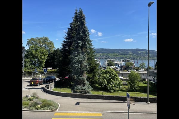 House sit in Horgen, Switzerland